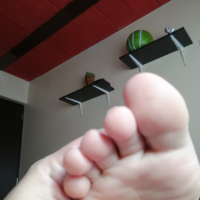 Kataryal votqer ev nerbanner