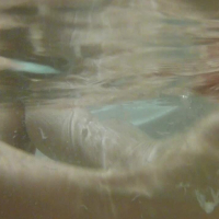 Amateur Lydia performs underwater footjob in a bathtub