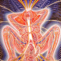 Divinity o Love Beauty o Creation