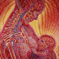 Divinity o Love Beauty o Creation