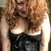 Midnite Vixen Tits and Teases