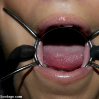 Bound Hollie Stevens used and roughed up by Sgt Major