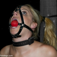Bound Hollie Stevens used and roughed up by Sgt Major