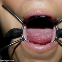 Submissive Hollie Stevens gets broken by dom Sgt Major