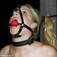 Submissive Hollie Stevens gets broken by dom Sgt Major