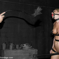 Submissive Hollie Stevens gets broken by dom Sgt Major
