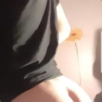 TEZh NKARNER METs klirNER