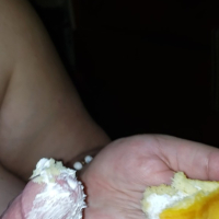 tstsum e hubbys kliryy