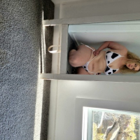 Cow Print Bikini