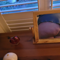 WonderLewds