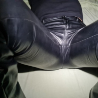 Paylun WetLook kashve srnapanner Shiny Wet Look