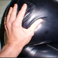 Paylun WetLook kashve srnapanner Shiny Wet Look