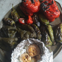 Ktsu gisher