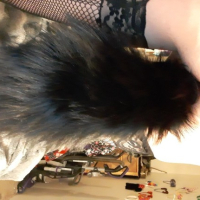 Kitty zhamanak