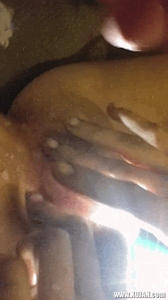 Gif i nkarner - Photo #2480910