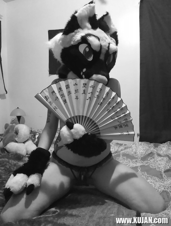 Puppy Pin Up - Photo #2500113
