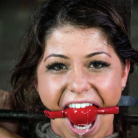 Mia Gold rope bound her body spanked red with single tail