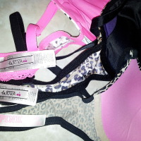 Victoria Secret Pink bra Vs La Senza VS My Cock