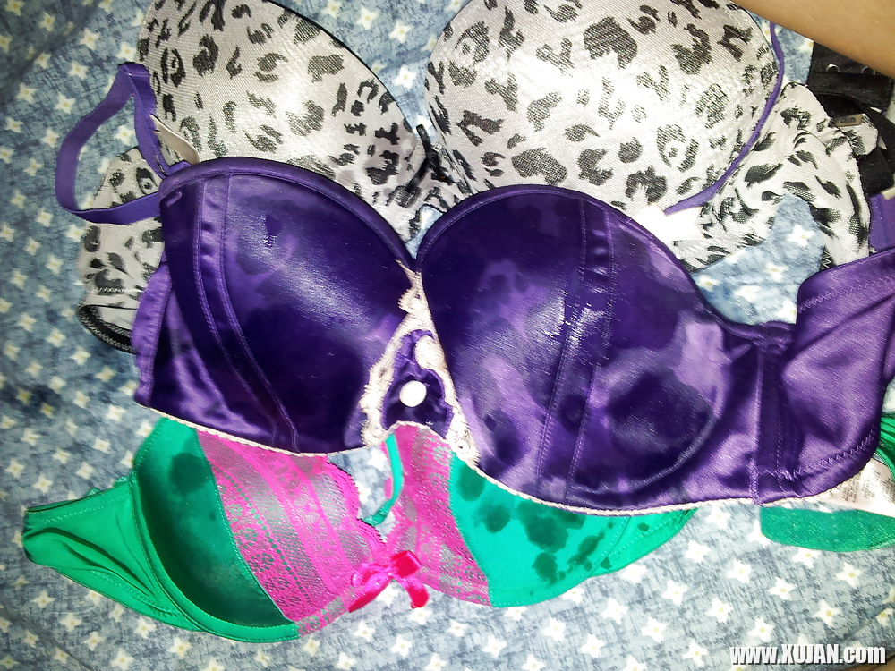 Victoria Secret Pink bra Vs La Senza VS My Cock - Photo #2543470