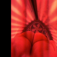 Metamorfoz