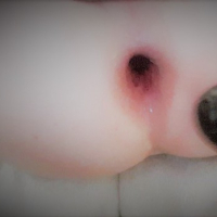 Love 2 Work On My Gape