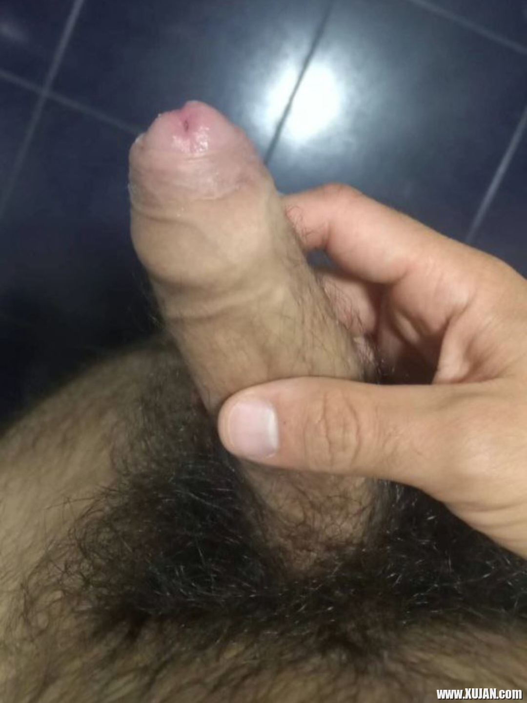 Van Vardanyan - Photo #2591559