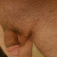 Tarm ktrvats papuk kliry