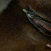 Miayn katil Wethellip Horny Night y