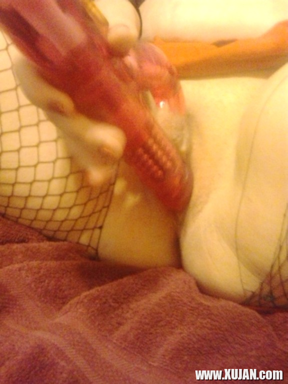 Pusebypucysussy - Photo #2622448