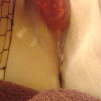 Pusebypucysussy