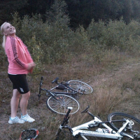Bike Rogue n avartvets bnutyan mej serov