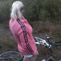 Bike Rogue n avartvets bnutyan mej serov