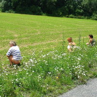 Qayaknerum hasun nudistneri turistakan kharnurdy