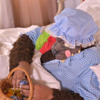Fucked by wolf a voluptuous Czechrsquos cosplay porn