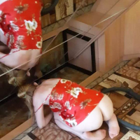 Kiny tany maqrvum e karch gisherva yntatsqum arants shalvarneri