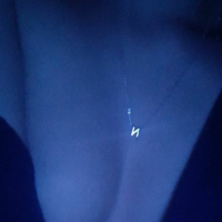 Ovsh gisherayin nuds