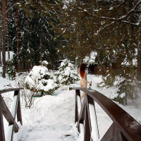 Merk Snegurochka hangsti kentronum