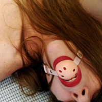 Stipir indz aghachel