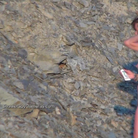 Nudistneri khumby hachuyq e stanum ditel irents ynkerojy tsntsugh