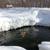 Russian MILF Nudisty ynkav saruytsi antsqi mej