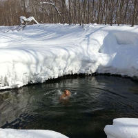 Russian MILF Nudisty ynkav saruytsi antsqi mej