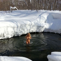 Russian MILF Nudisty ynkav saruytsi antsqi mej