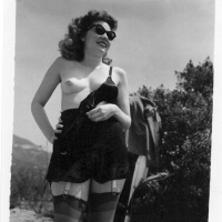 Vintage Chicks durs tarm ev anvchar
