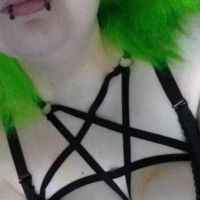 Boobies havaqatsu