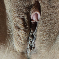 Clit Shot