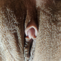 Clit Shot