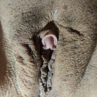 Clit Shot