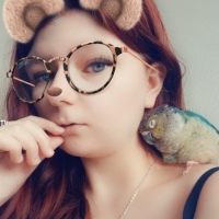 Menakatar kitty