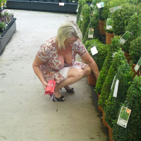 Merk koshikneri ev khuleri patahakan luysery poghotsum