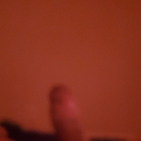 Parzapes mi lil sun